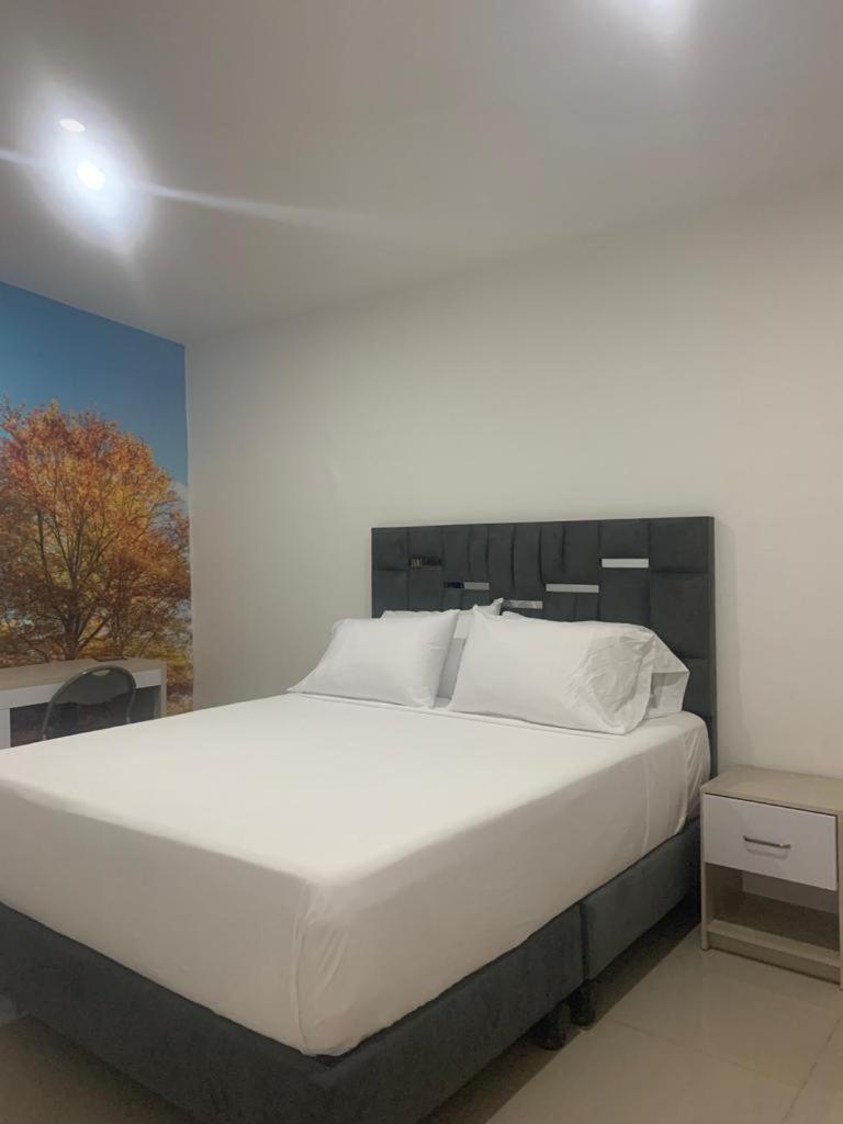 קאלי Hotel Granada Loft מראה חיצוני תמונה